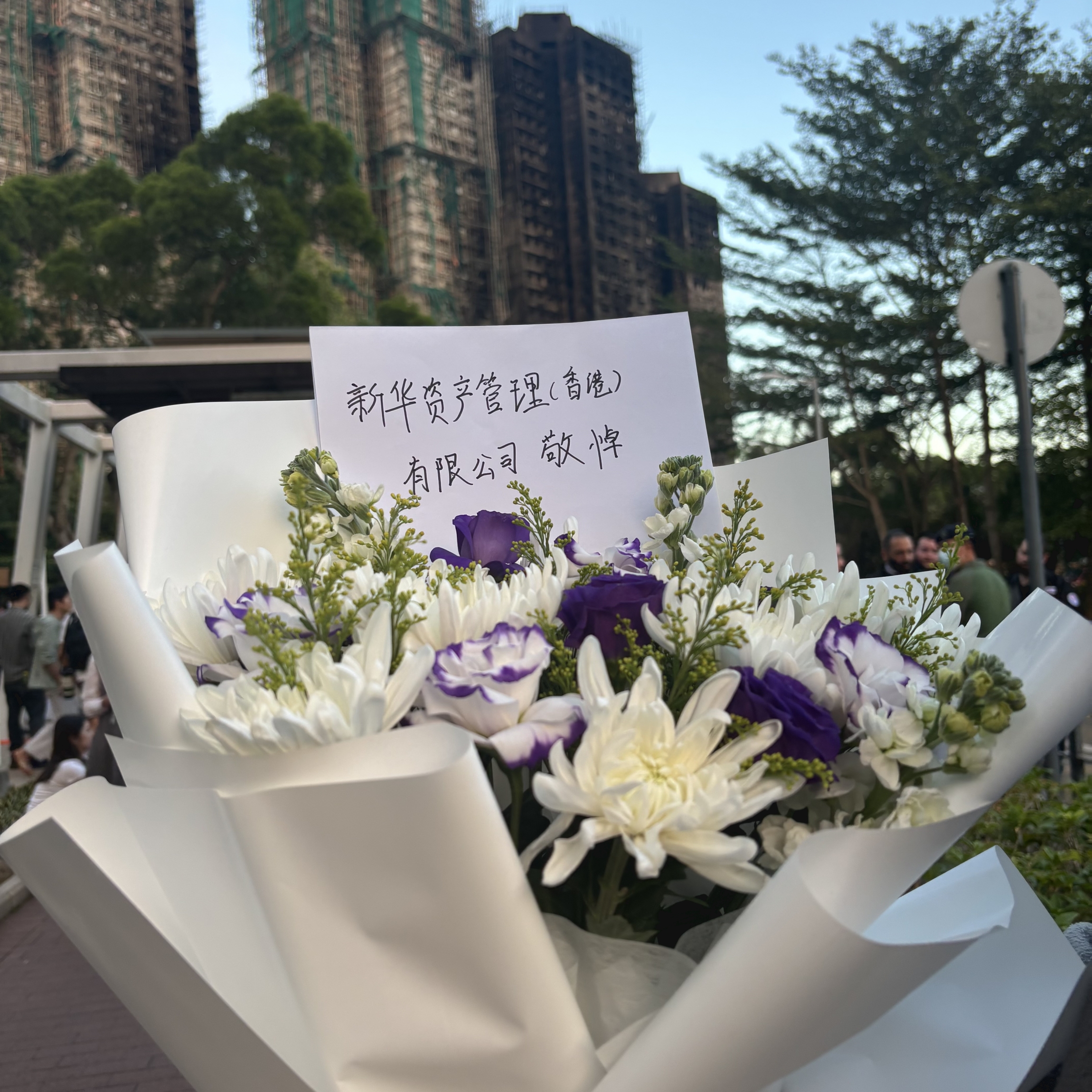共用圖片/檔案 - Image_20251202174931