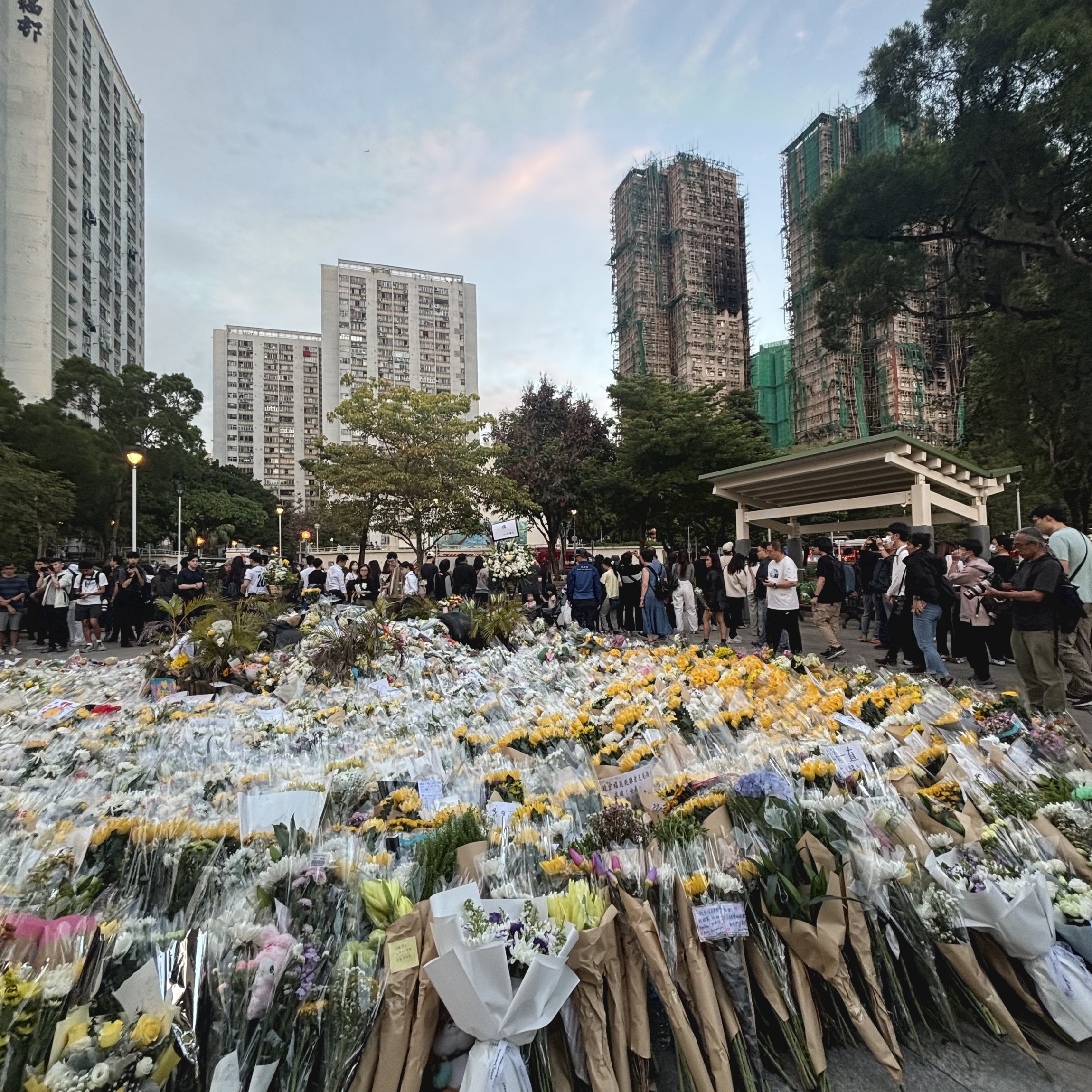 共用圖片/檔案 - Image_20251202174940